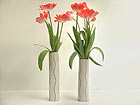 Vases by Jonathan Keep