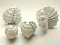 Jonathan keep, Morphology pots